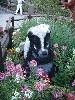 sm_P5036747.JPG