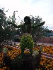 sm_P5036751.JPG