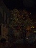 sm_P5042803.JPG