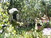 sm_P5042806.JPG