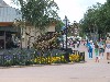 sm_P5042808.JPG