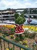 sm_P5042811.JPG