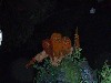 sm_P5042842.JPG
