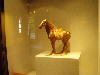 sm_P5042857.JPG