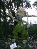 sm_P5046770.JPG
