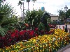 sm_P5046773.JPG