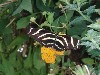sm_P5046779.JPG