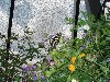 sm_P5046780.JPG
