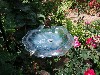 sm_P5046790.JPG