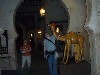 sm_P5053018.JPG