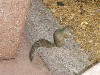 sm_P5063170.JPG