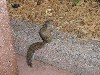 sm_P5067191.JPG