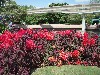 sm_P5083418.JPG