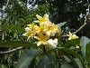 sm_P5083426.JPG