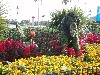 sm_P5087588.JPG