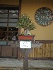 sm_P5097685.JPG