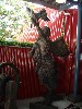 sm_P5077222.JPG