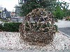 sm_P5077268.JPG