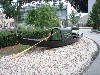 sm_P5077270.JPG