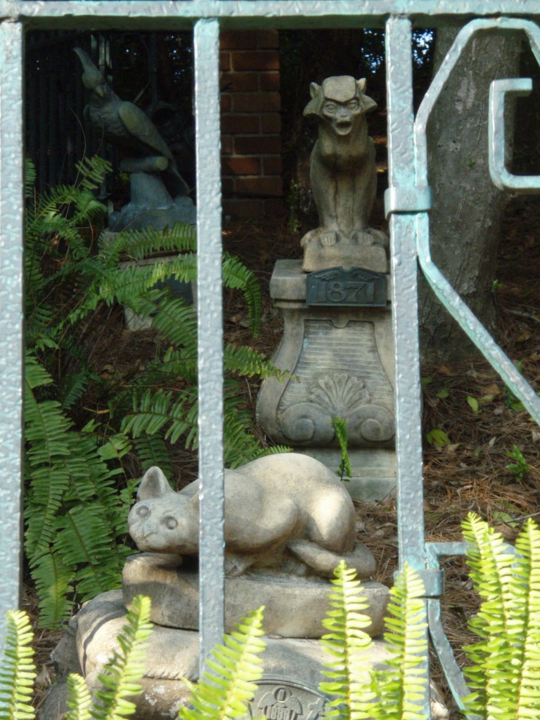 sm_P5093524.JPG