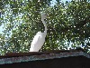 sm_P5032695.JPG