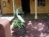sm_P5036660.JPG