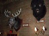 sm_P5036721.JPG