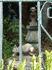 sm_P5093524.JPG