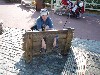 sm_P5097680.JPG