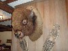sm_P5097626.JPG