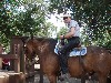 sm_P5097638.JPG