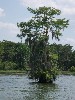 sm_P5097642.JPG