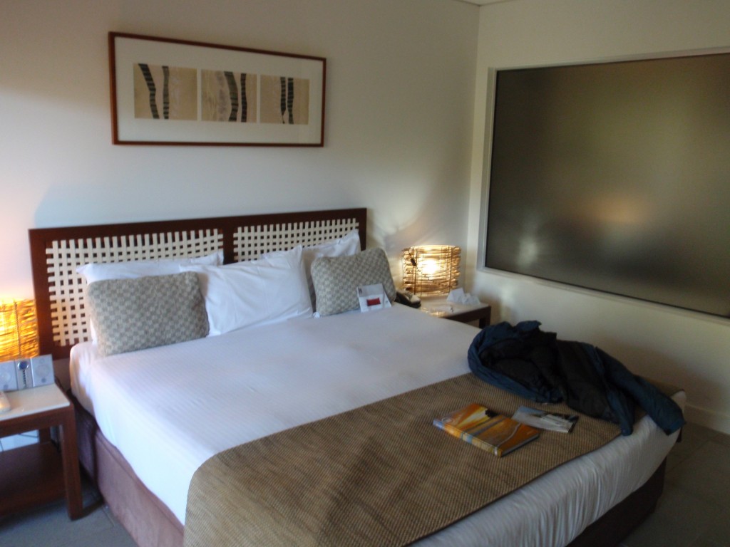 sm_AR-P8313634.JPG