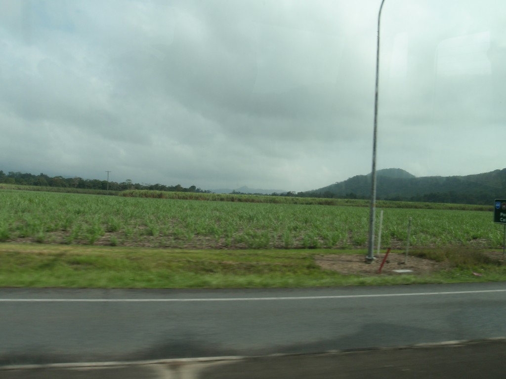 sm_AR-P9044275.JPG
