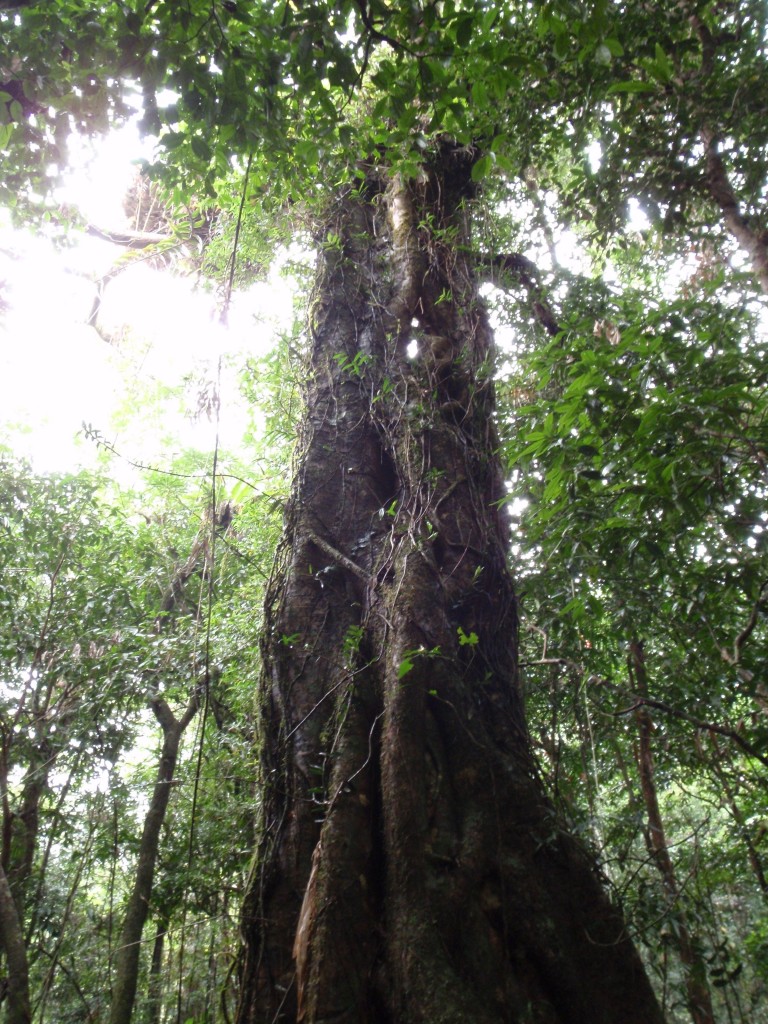 sm_AR-P9044294.JPG