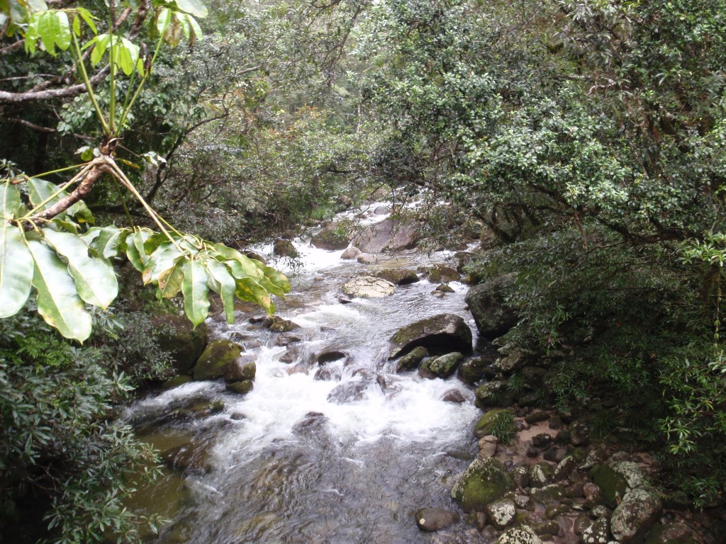 sm_AR-P9044303.JPG