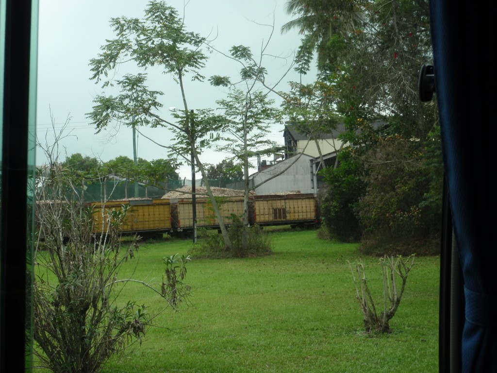 sm_AR-P9044324.JPG