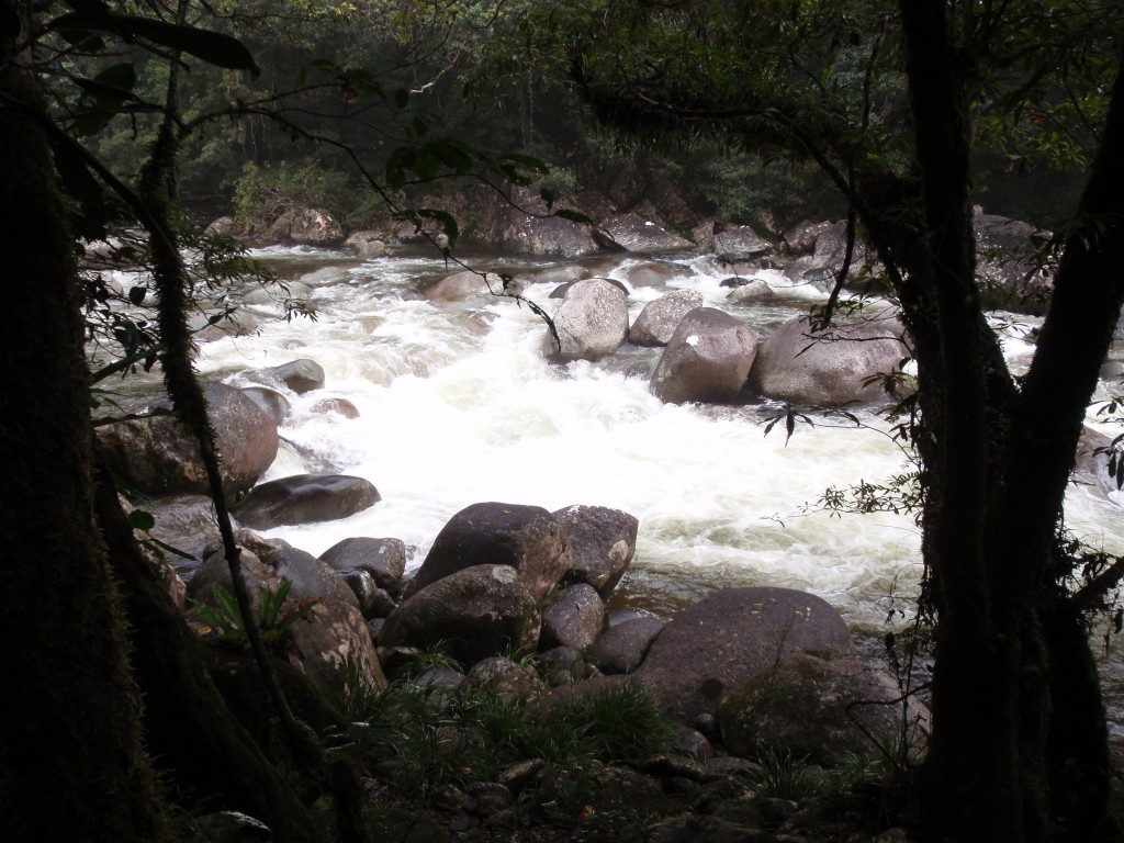 sm_P9044427.JPG