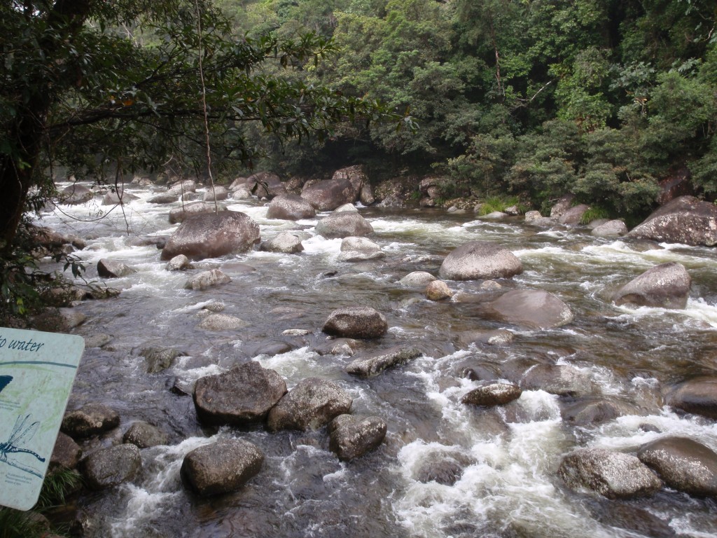 sm_P9044436.JPG