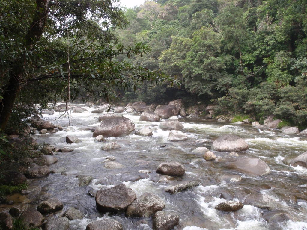 sm_P9044437.JPG