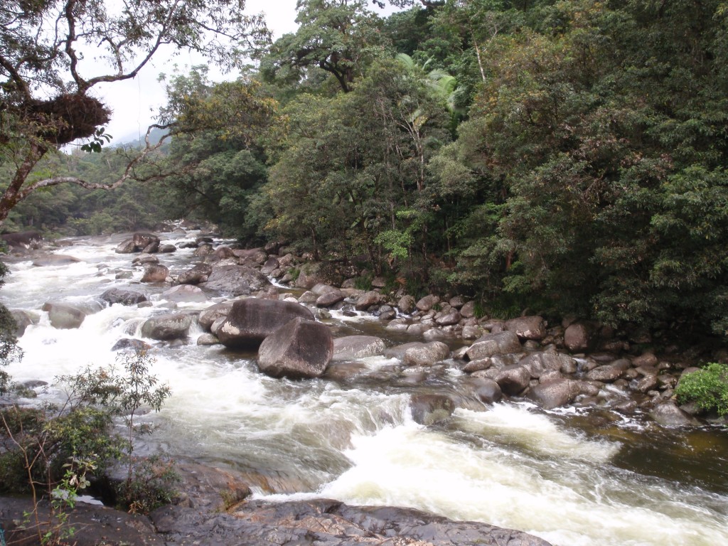 sm_P9044454.JPG