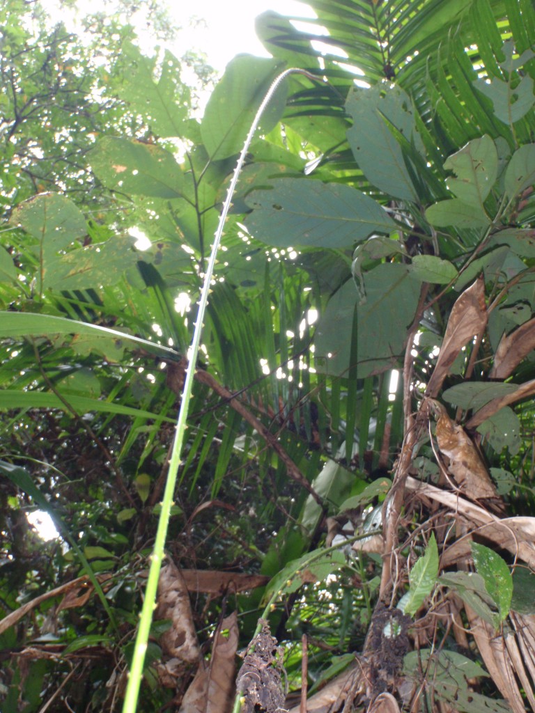 sm_P9044476.JPG