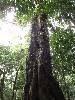 sm_AR-P9044294.JPG