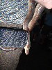 sm_AR-P9054409.JPG