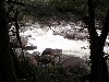 sm_P9044427.JPG
