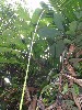 sm_P9044476.JPG