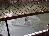 sm_P9054553.JPG