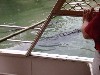sm_P9054555.JPG