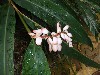 sm_AR-P9054439.JPG