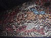 sm_AR-P9054454.JPG